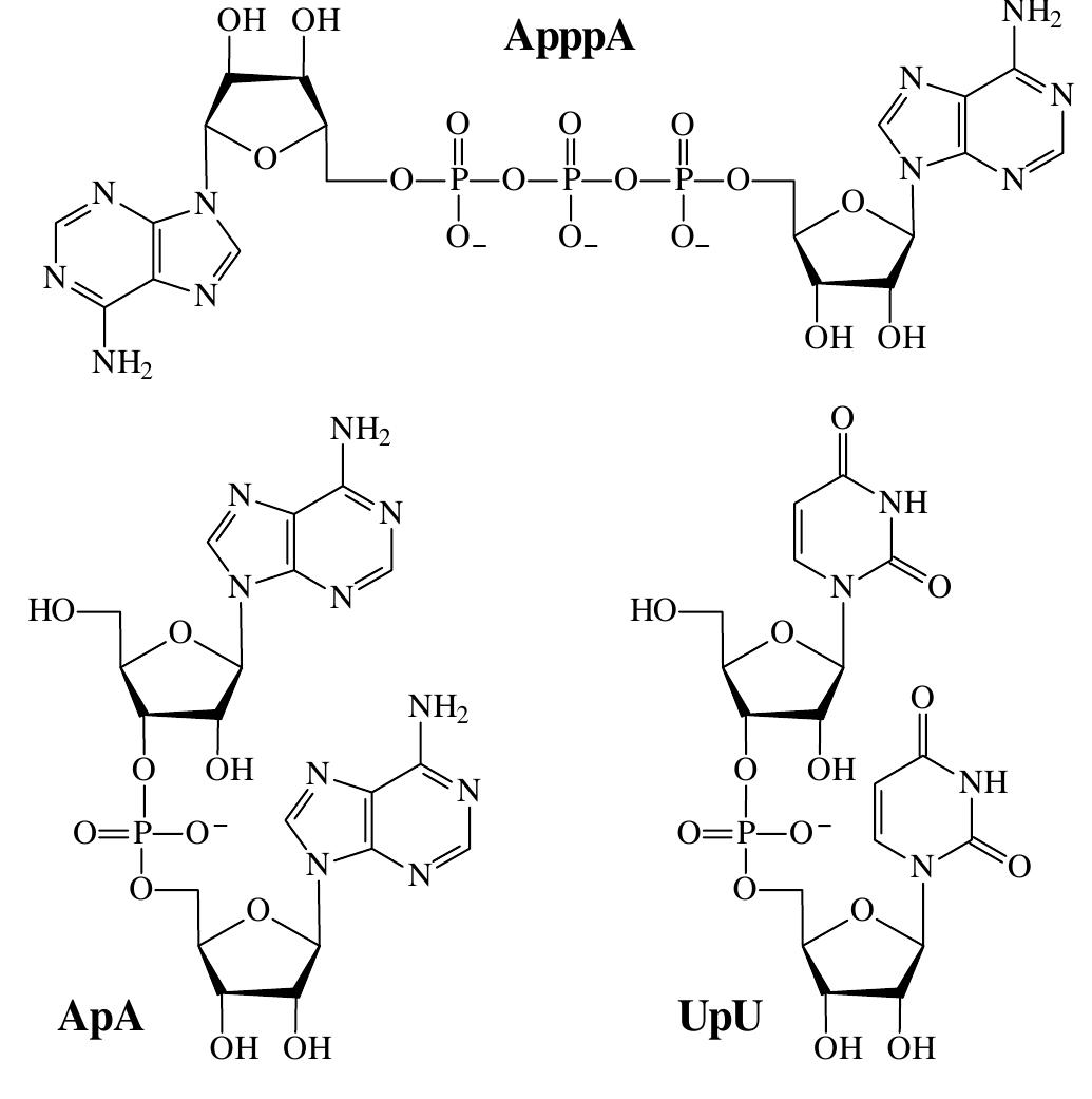 The kop; values for the hydrolysis of the apppa as a