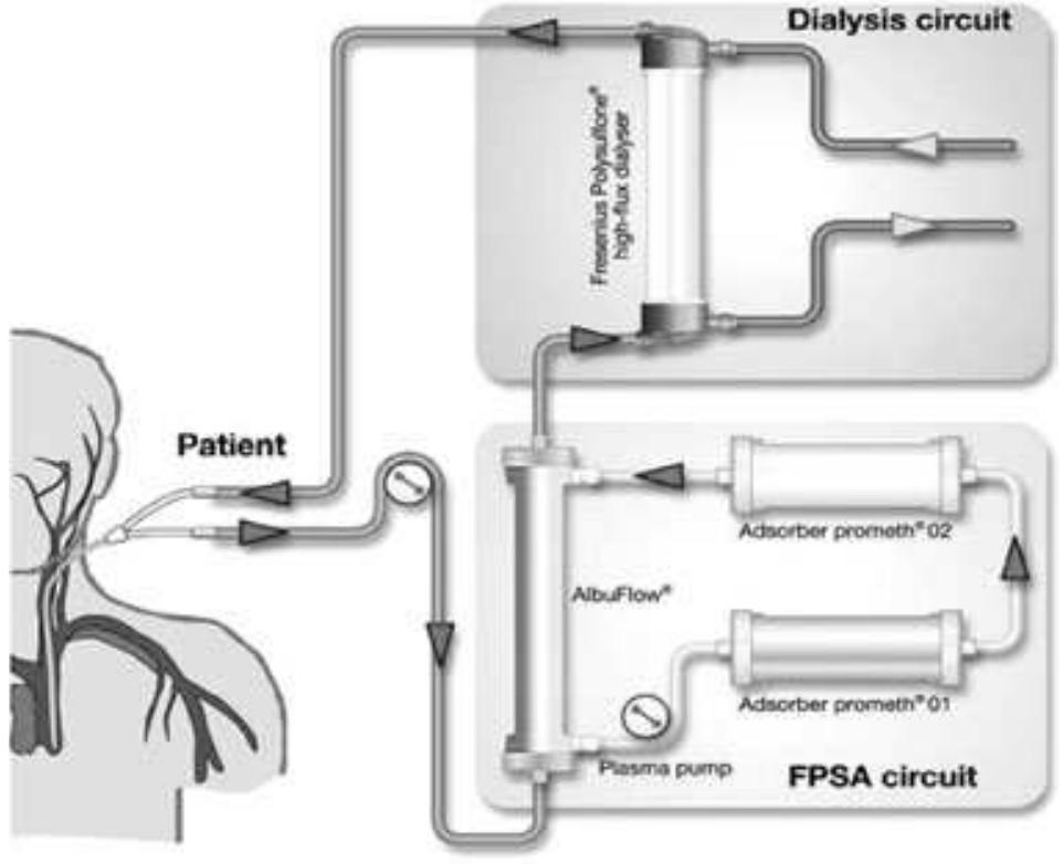 Flow diagram of the prometheus system. blood is frac-