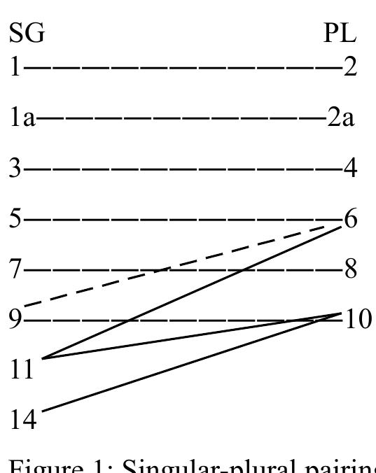 Conform Noun Concise grammar of the Digo language