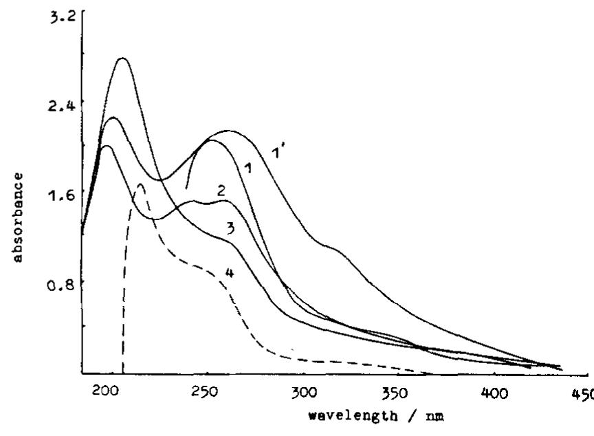Absorption spectra of catholytes after electrolysis of the