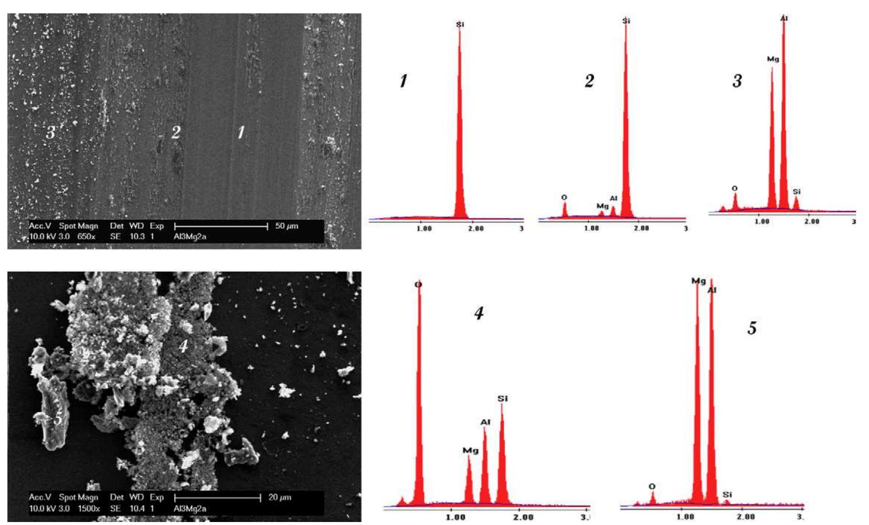 Sem images of a wear track after a sliding test case i on