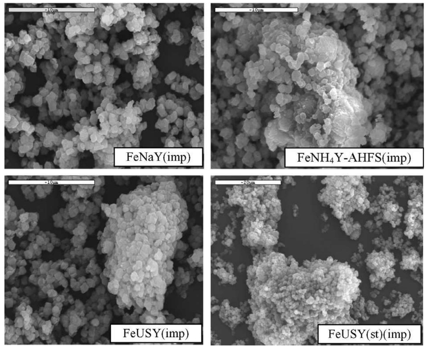 (PDF) Formation of carbon nanotubes on iron/cobalt oxides supported on ...