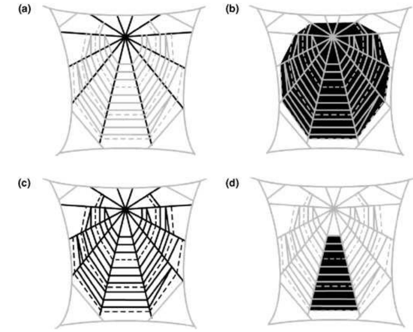 Qulative Spider (PDF) Does the Giant Wood Spider Nephila pilipes Respond to Prey ...