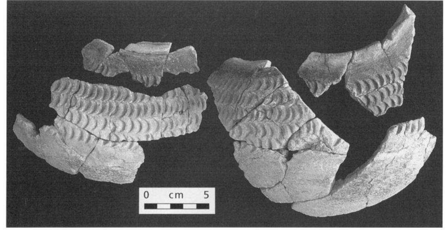 Figure 28 - The Neolithic Period: Triumphs of Architecture,