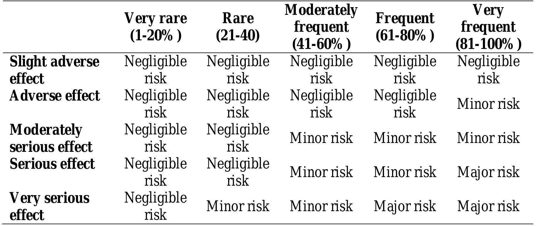 3. risk classification matrix.