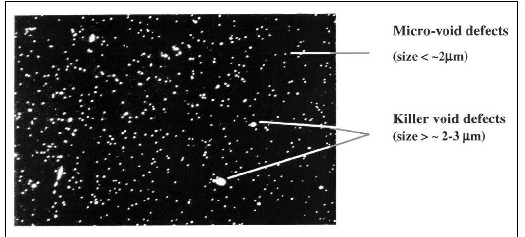 Atomic force microscopy photograph of a ‘void defect’