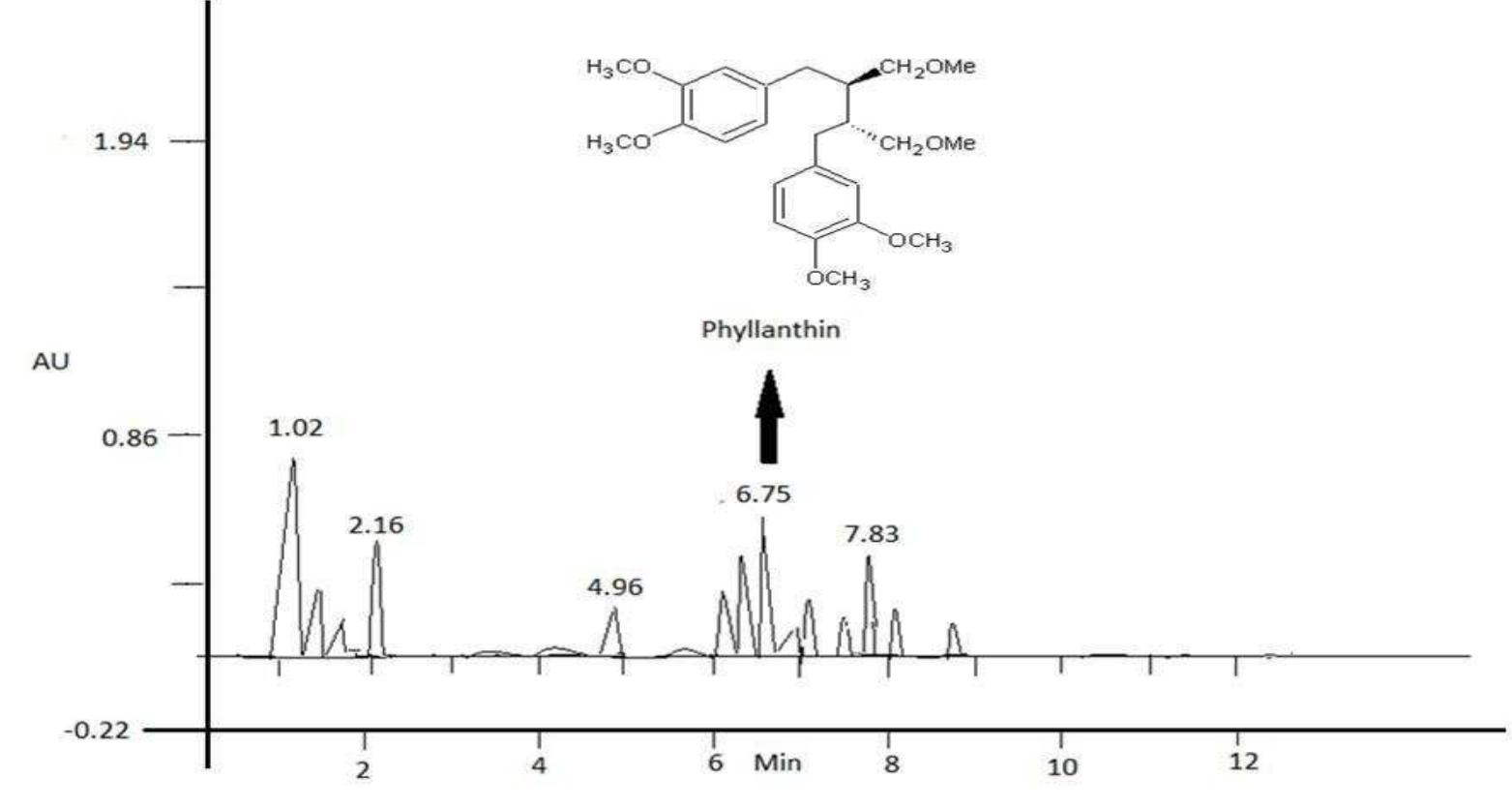 Phyllanthin (PDF) ANTIOXIDANT AND ANTICANDIDAL ACTIVITY STUDIES ON PHYLLANTHIN ...
