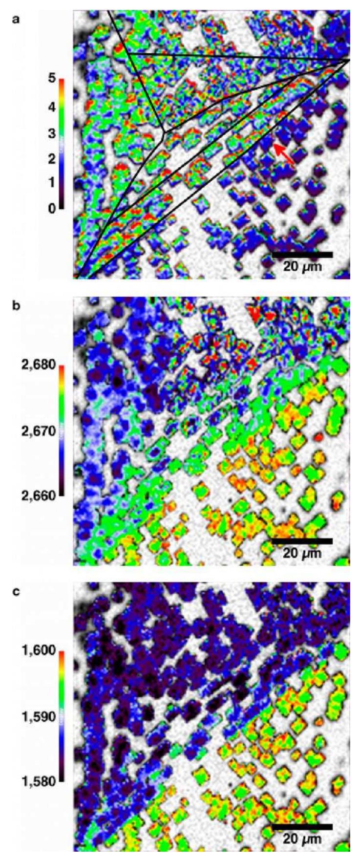 Spatially resolved raman spectroscopy maps (90 x 90 1m?)