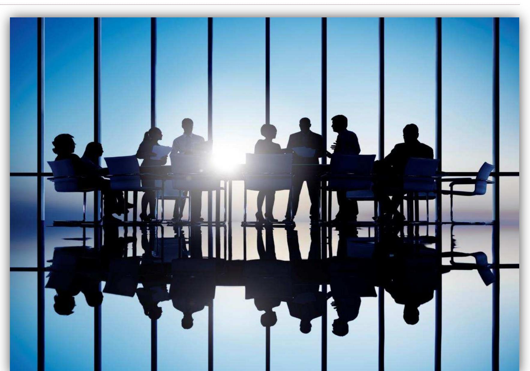 One Tier System (PDF) The Monitoring Role of Outside Directors and Supervisory Boards ...
