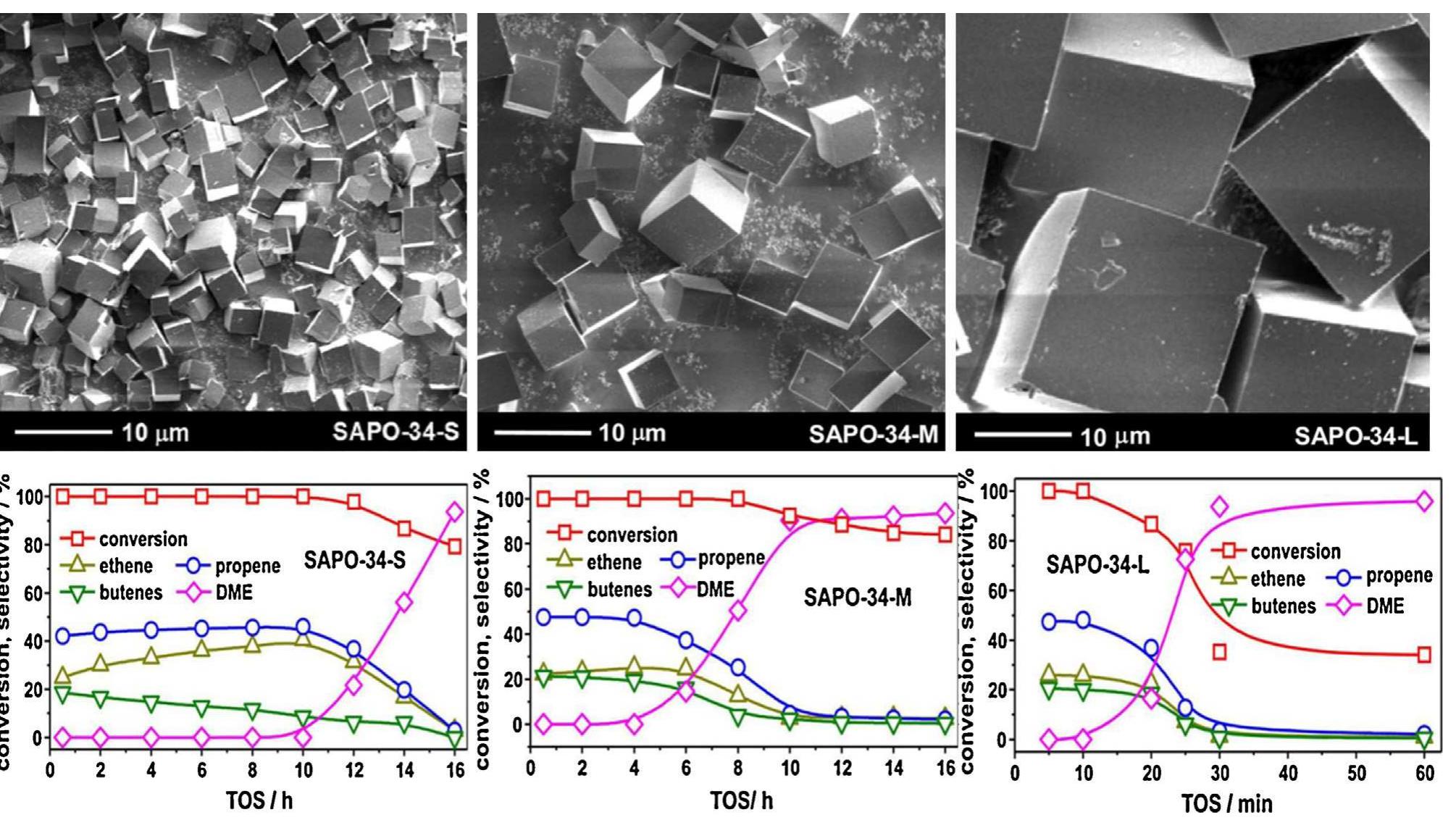 Upper panel: sem images of the sapo-34-s (left), sapo-34-m