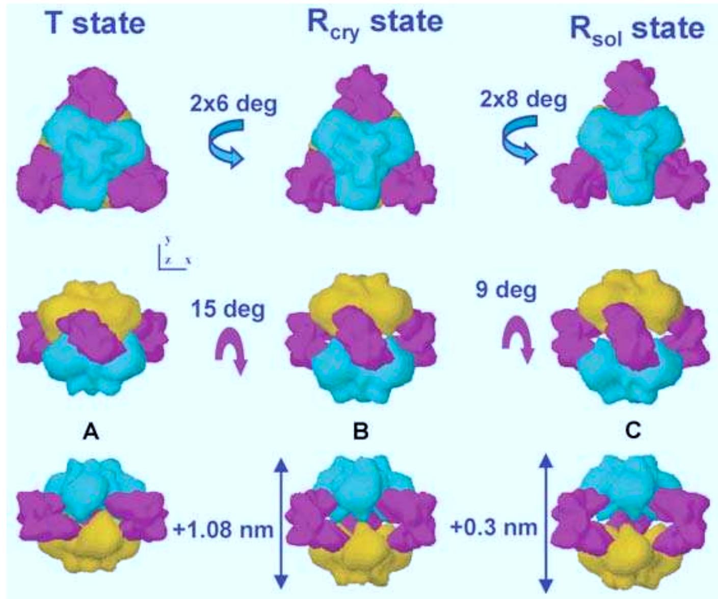 (PDF) Small-angle scattering: a view on the properties, structures and ...