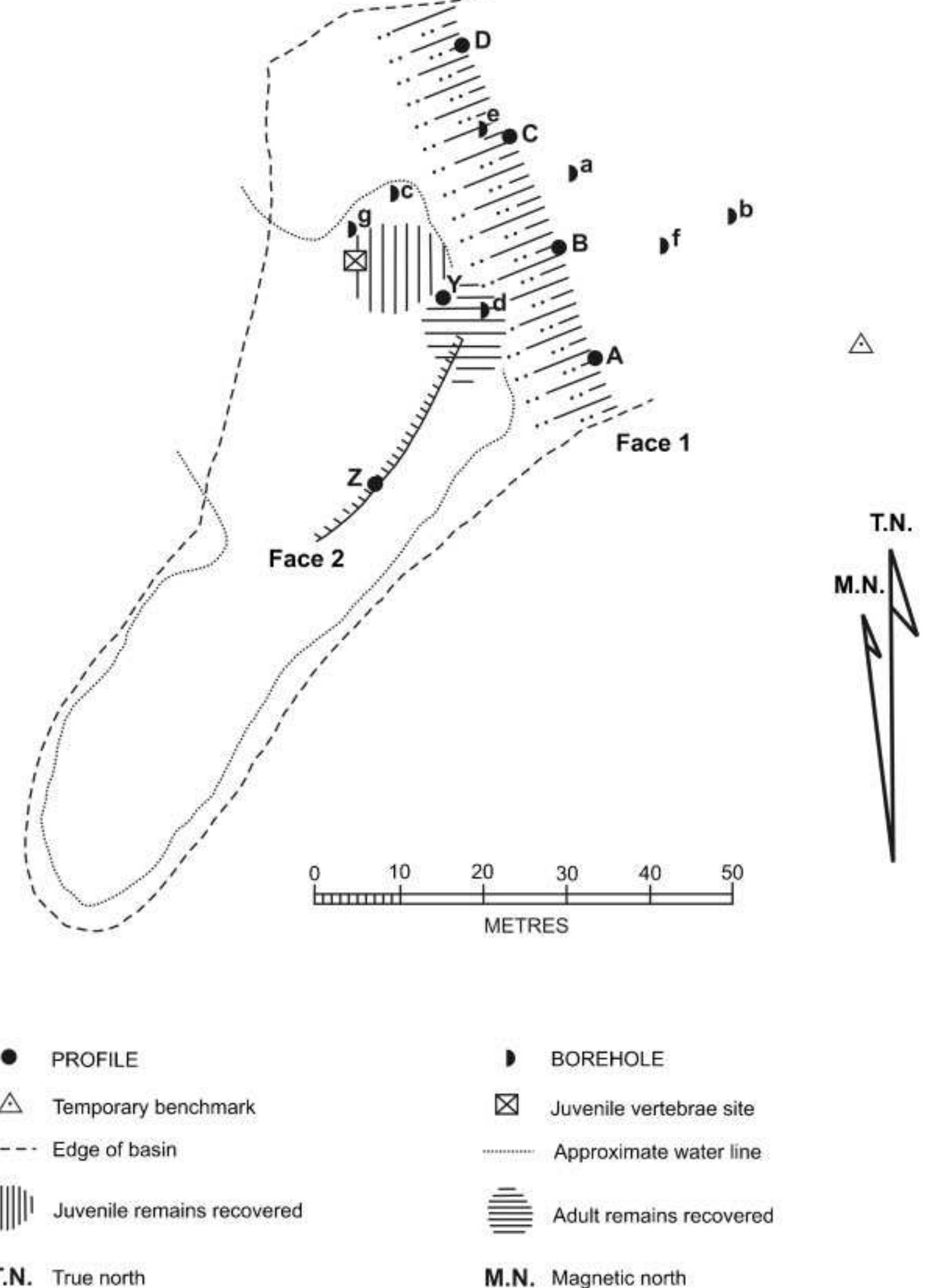 Survey map of the 1987-1990 excavations at norton farm pit,