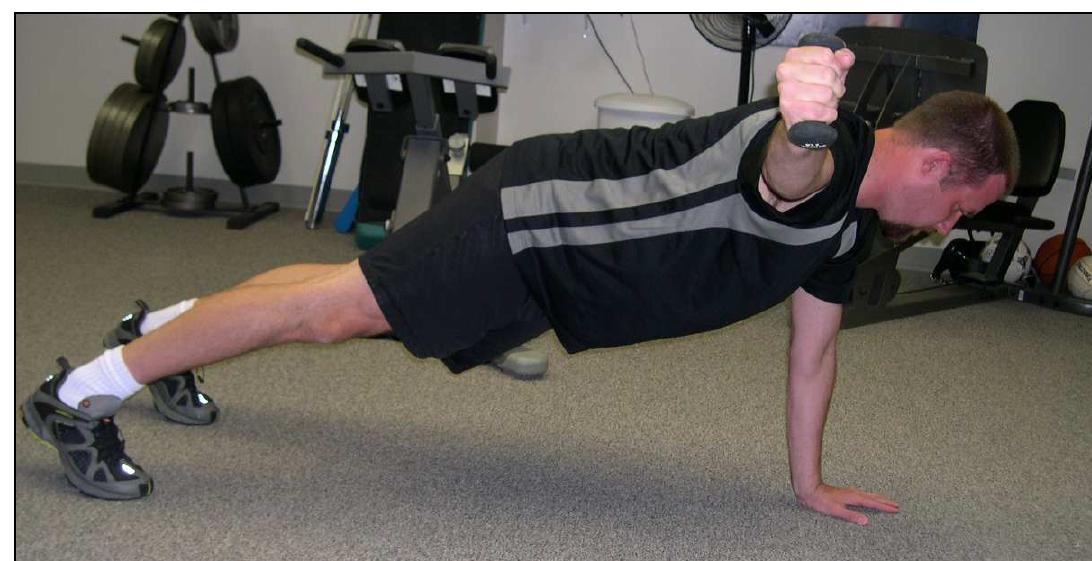 Abdomen, the proximal lower limb, the hips, the pelvis, and
