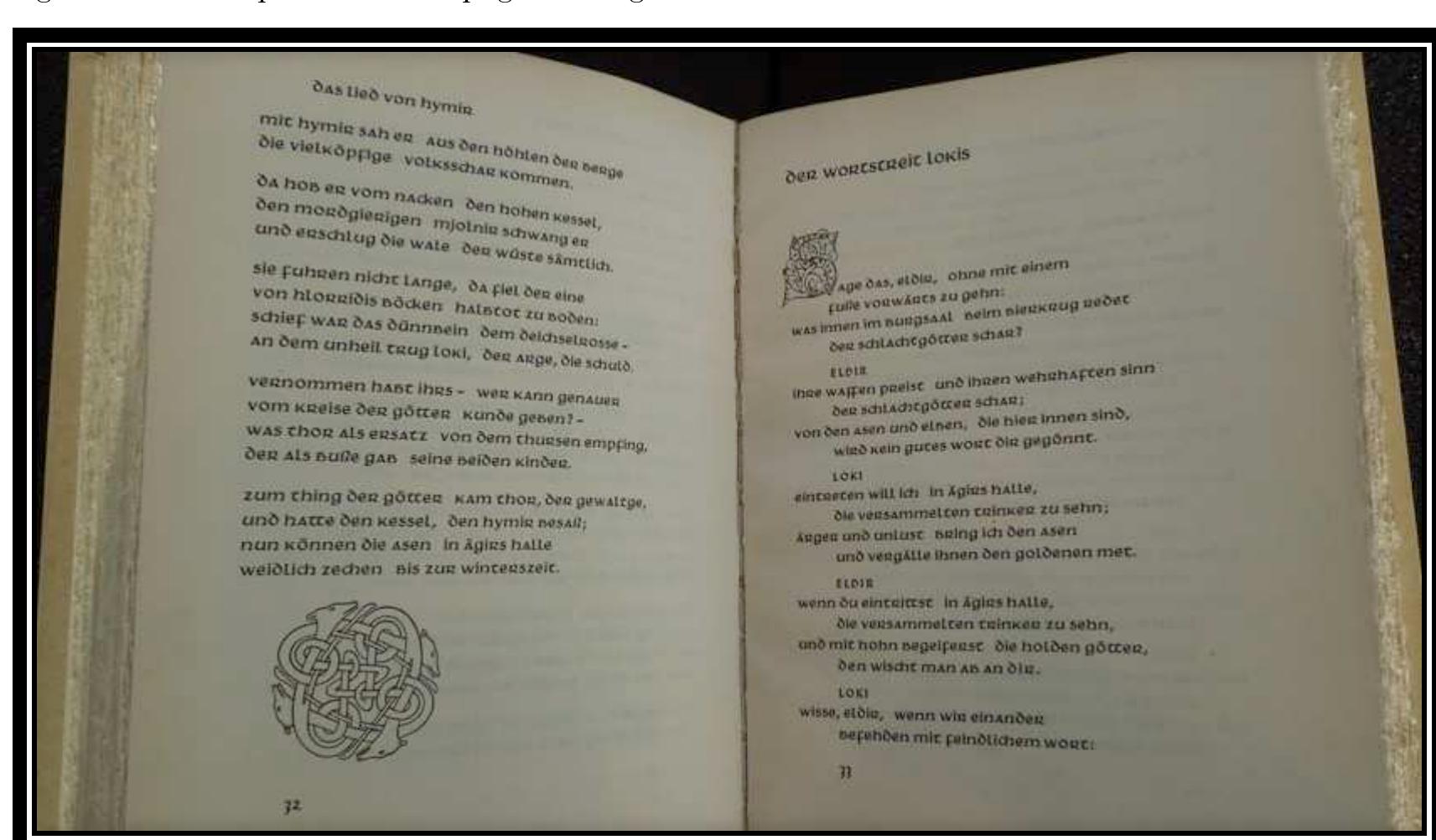 Das dunkle Licht (ACTION) (Paperback) - Walmart.com, image size:1713x1003