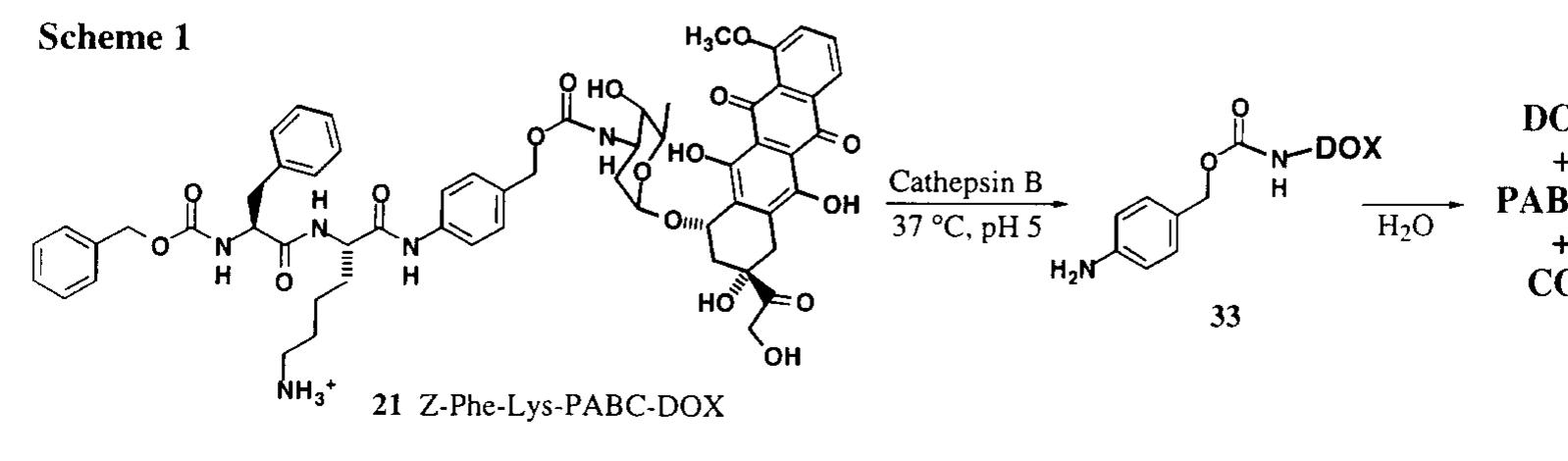 Figure 1 - from Cathepsin B-sensitive dipeptide prodrugs. 1.