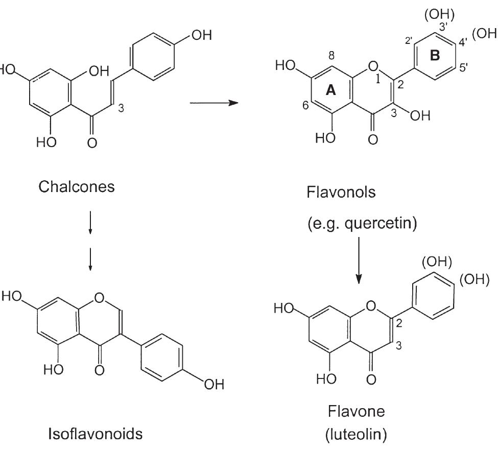Structure and numbering system of the flavonoids and