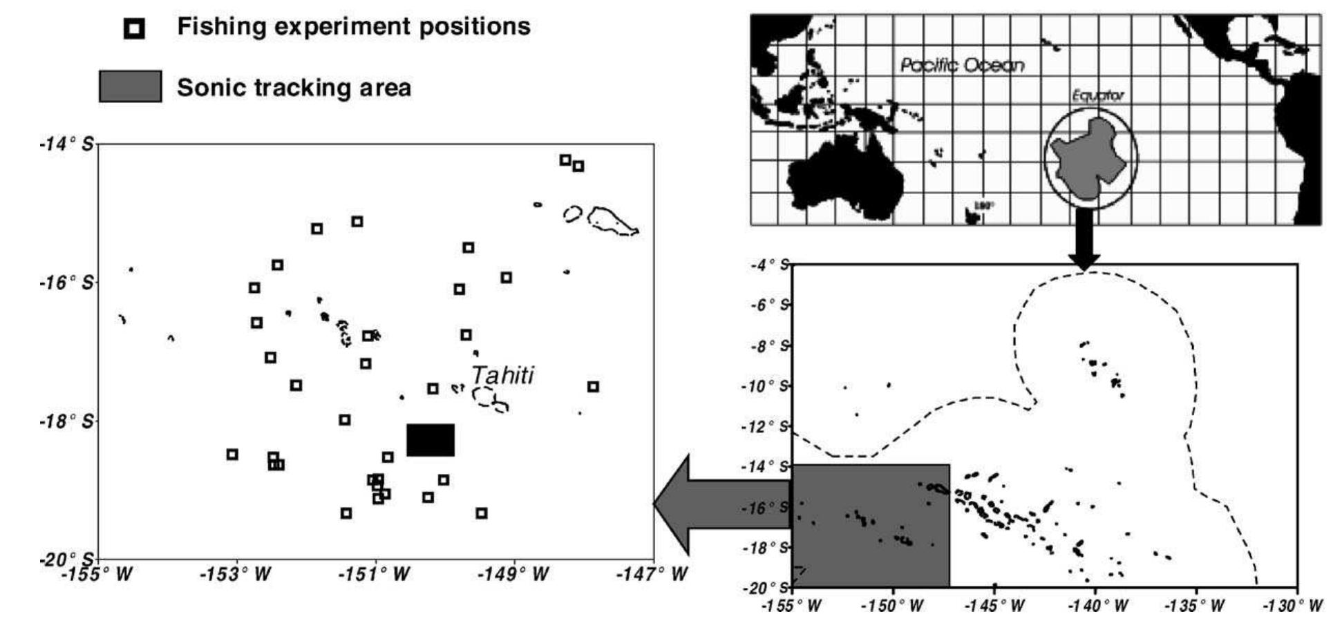 (PDF) Acoustic telemetry versus monitored longline fishing for studying ...