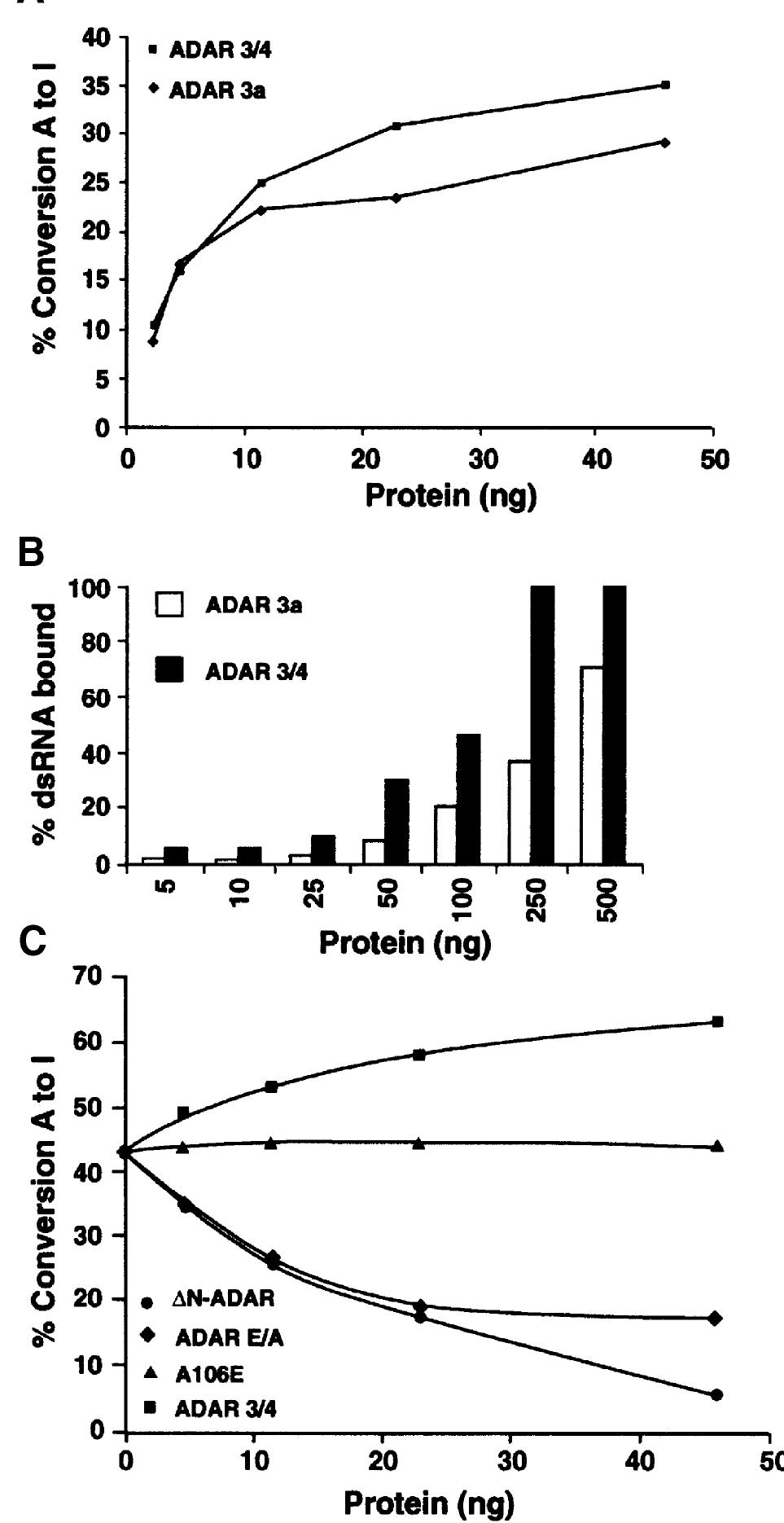 : cannot invoke Structure of drosophila adars. (a) schematic representation