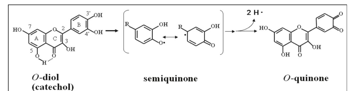 MASA  PDF) Fine mapping of QTL for cyanogenic potential in cassava