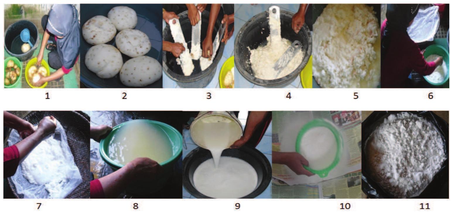 PDF) Fine mapping of QTL for cyanogenic potential in cassava