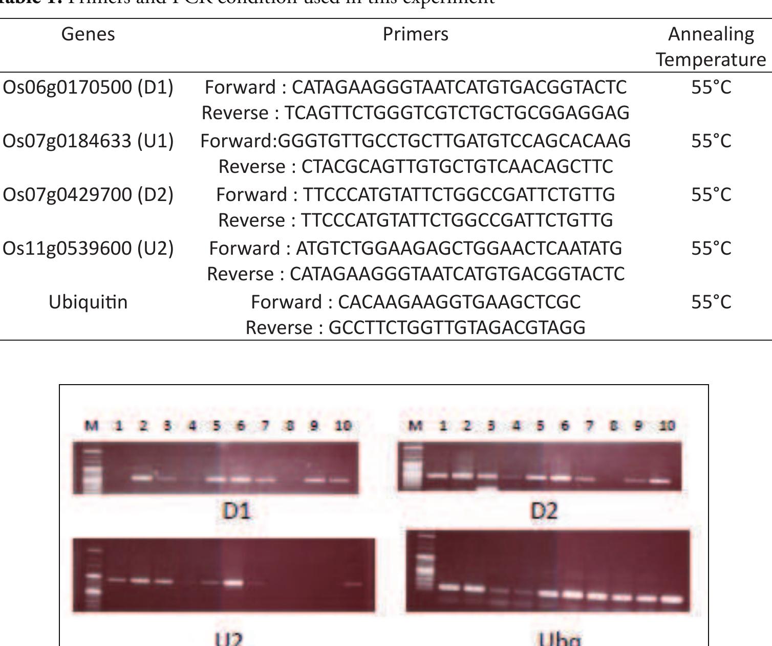 PDF) Fine mapping of QTL for cyanogenic potential in cassava