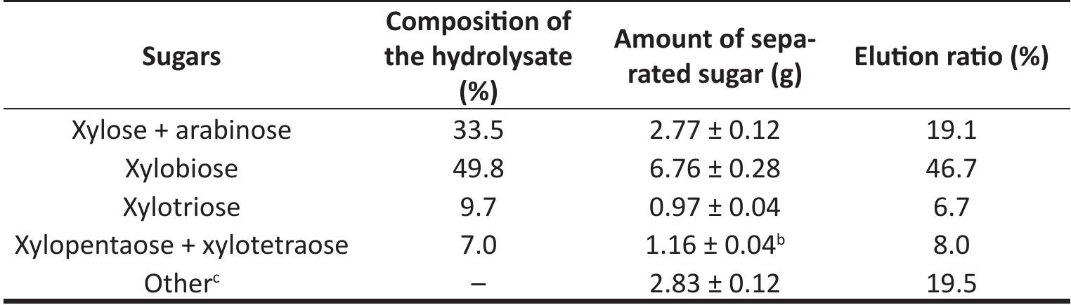 E.YAZAWA STAND UP !! リアルドキュメント STAND UP!!-5 YEARS