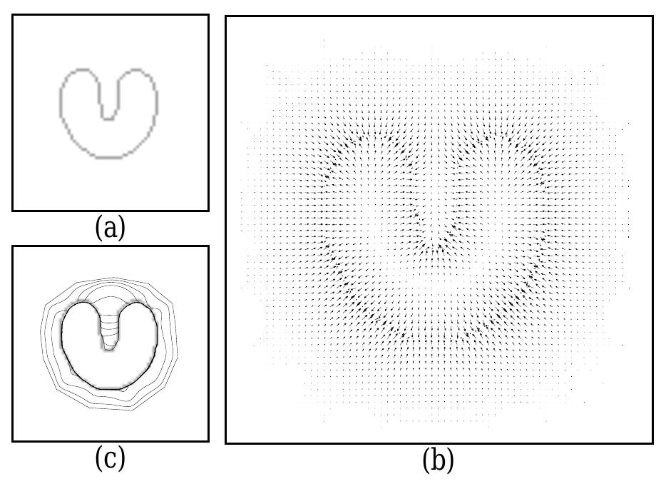 (PDF) Gradient vector flow: a new external force for snakes