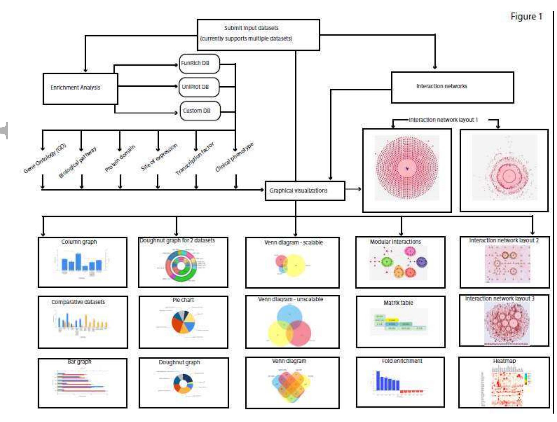 Different types of images that can be generated using
