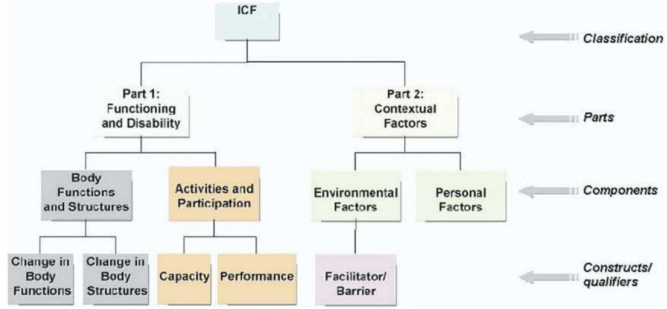 (PDF) Human and Automated Coding of Rehabilitation Discharge Summaries ...