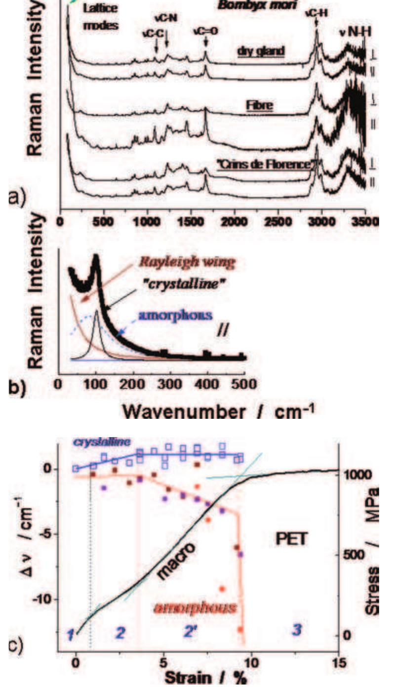 nanomaterials: of Spectroscopy Raman PDF) Die- -Door Jersey Motocross 【Mサイズ】XG How to relate spectra トップス