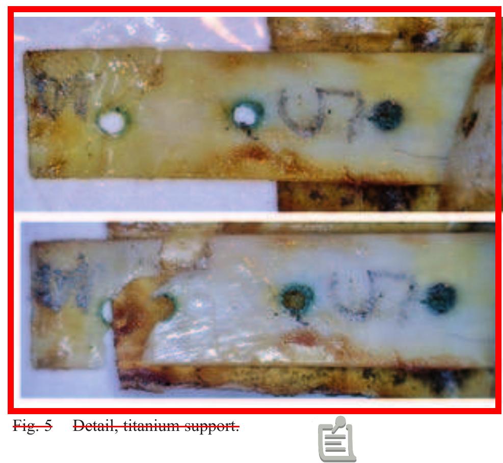 Figure 9 - from CONSERVATION OF A PRECIOUS