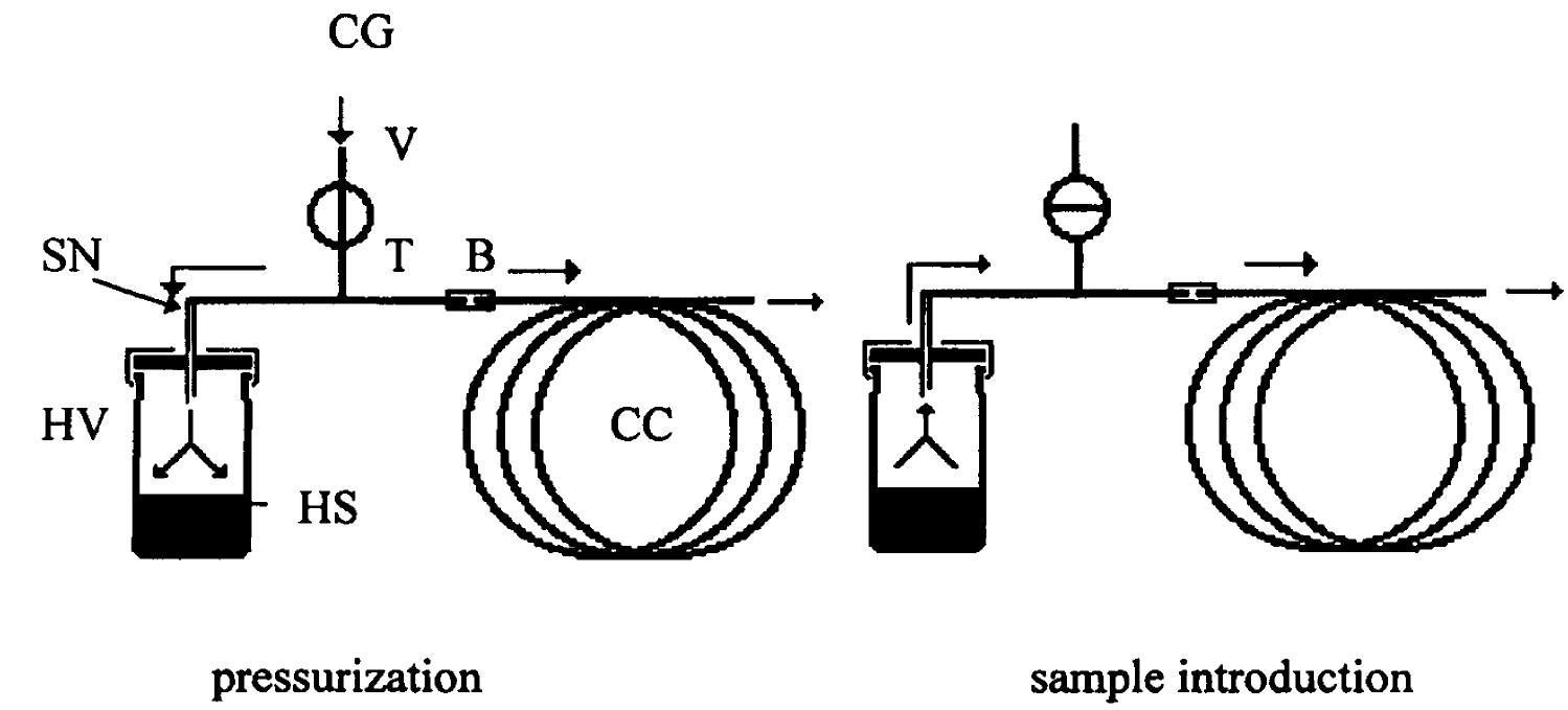 Figure 1 - from Head-space analysis in modern gas