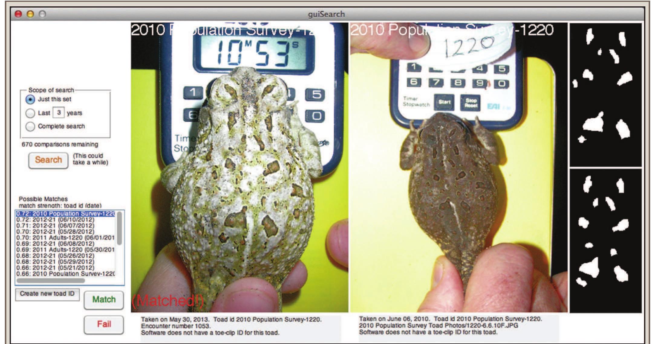(PDF) Tracking Toads Using Photo Identification and Image-Recognition ...