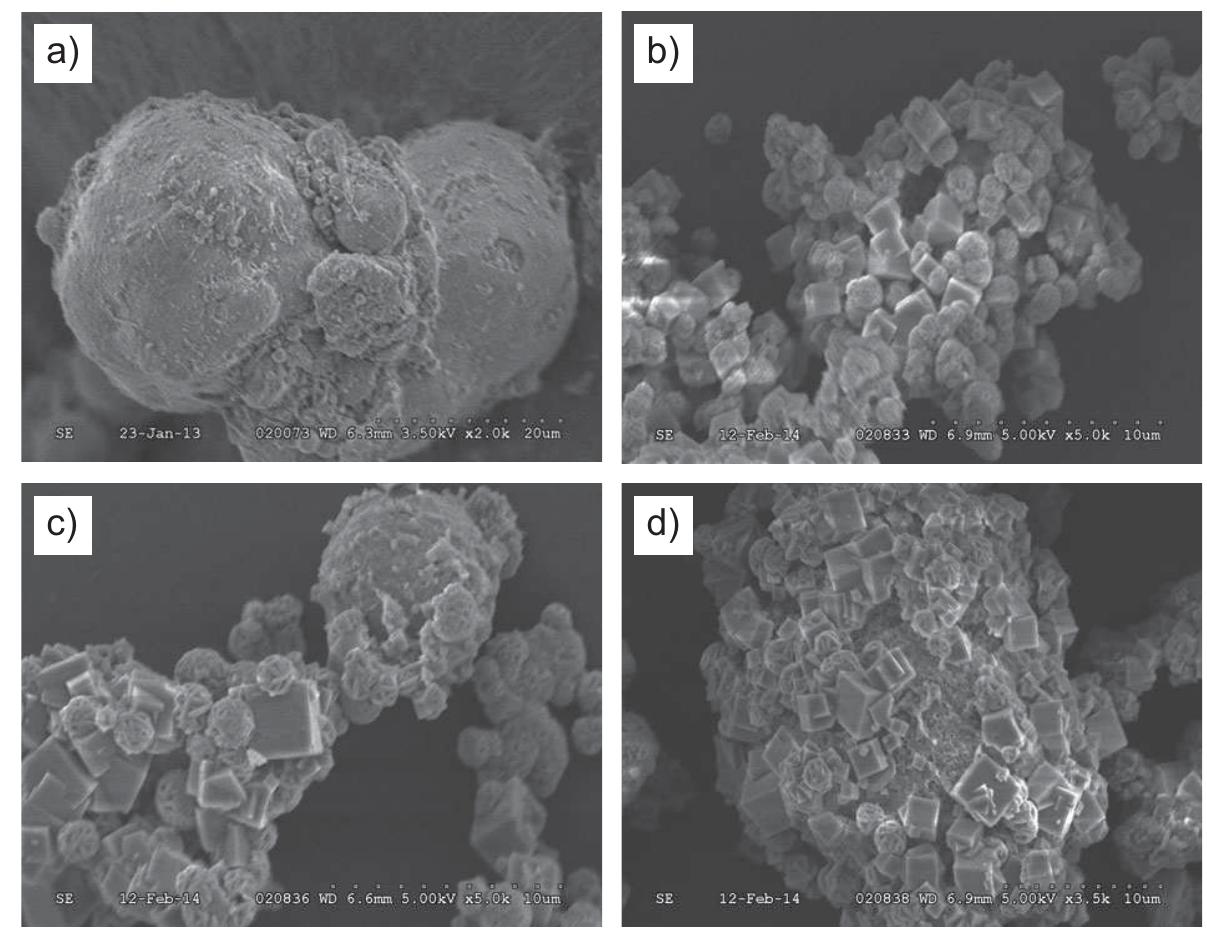 (PDF) Using Coal Fly Ash and Wastewater for Microwave Synthesis of LTA ...