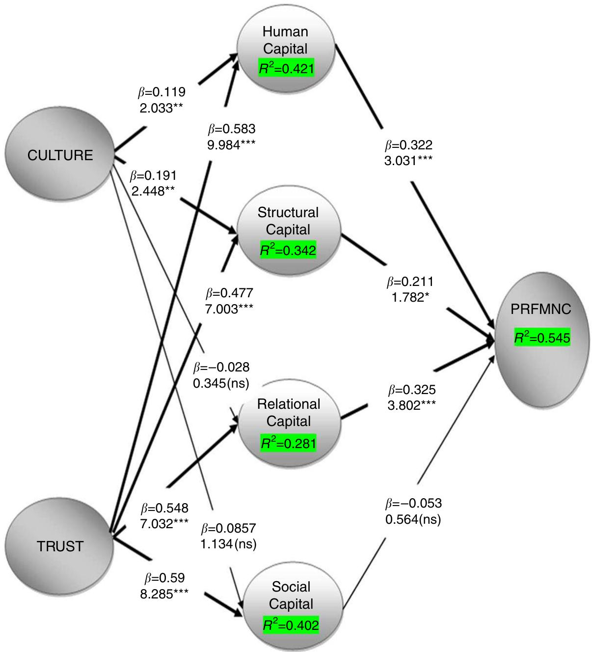 (PDF) A multidimensional view of intellectual capital: the impact on ...