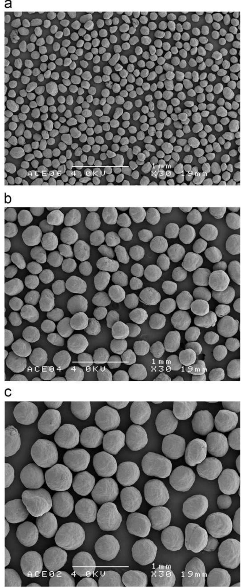 Sem images of the model materials. (a) cellets 100. (b)