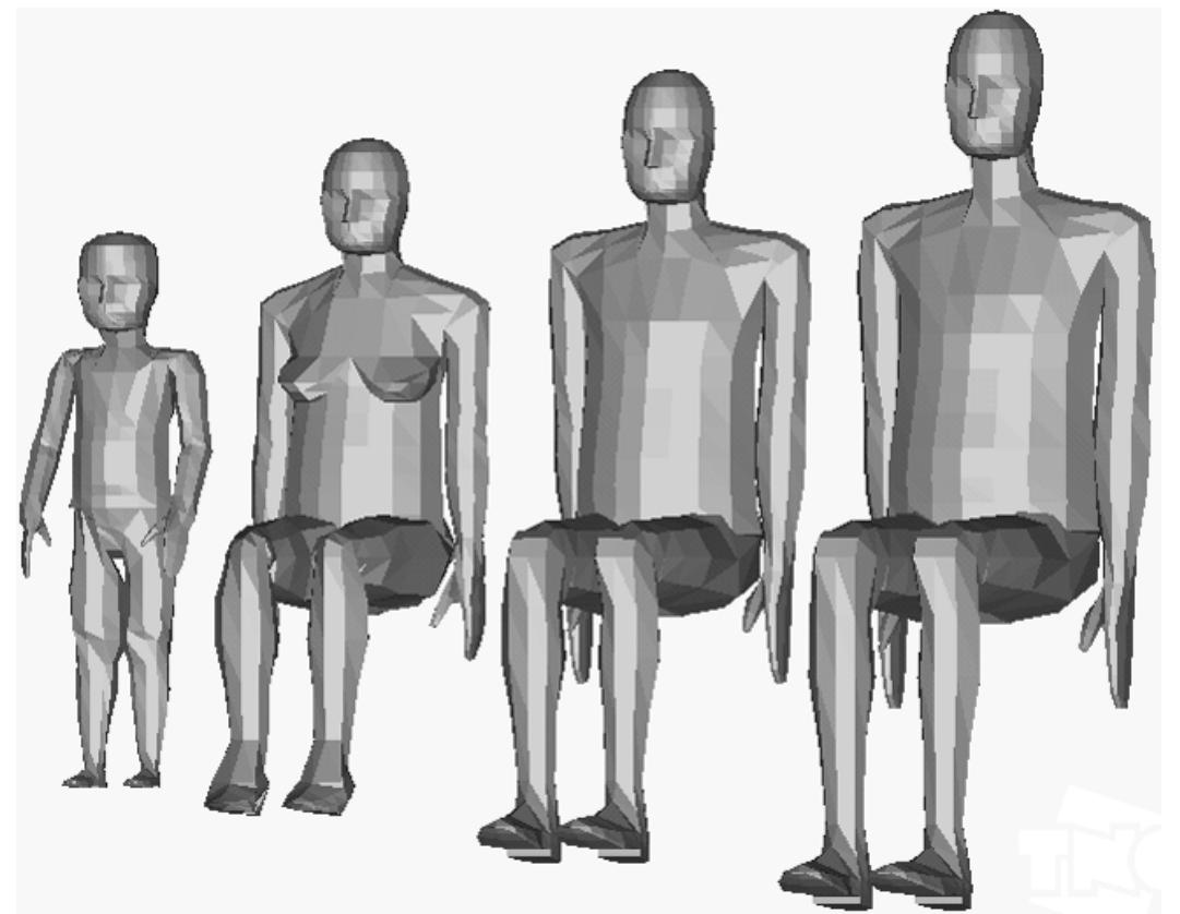 Figure 1 - A Mathematical Human Body Model for Frontal and