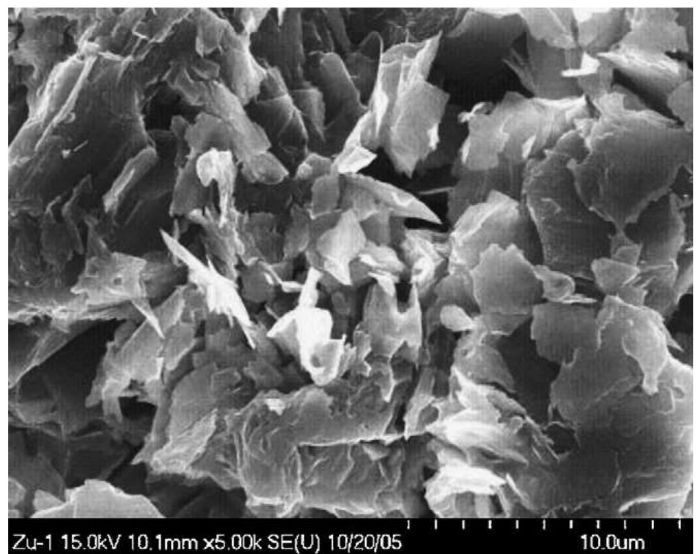 Fig. 1. The typical FESEM image of as-grown hydrozincite powder, prepared by the sol-gel method by refluxing for 6h at at 70°C. 