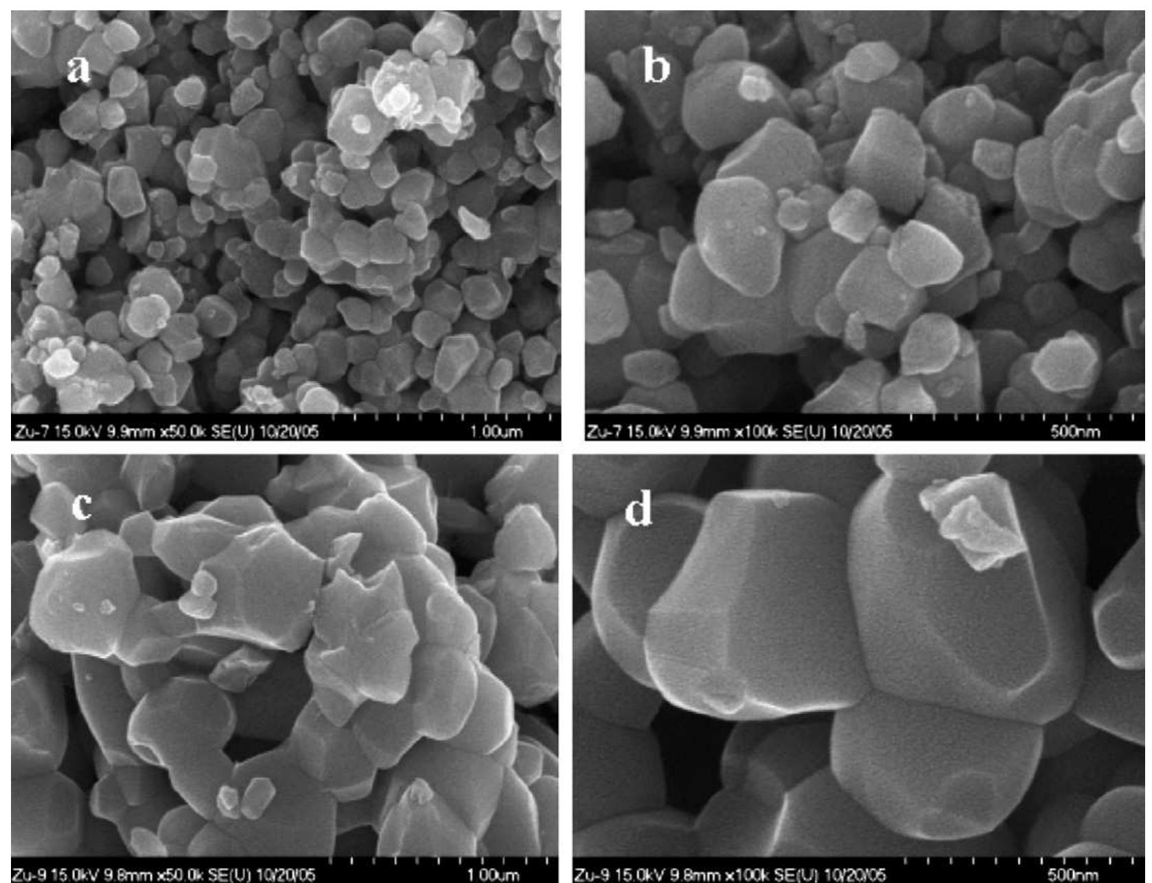 Fig. 3. (a and b) Low and high magnification FESEM images of the annealed hydrozincite powder at 700°C and (c and d) low and high magnification images | annealed hydrozincite powder at 900°C. 