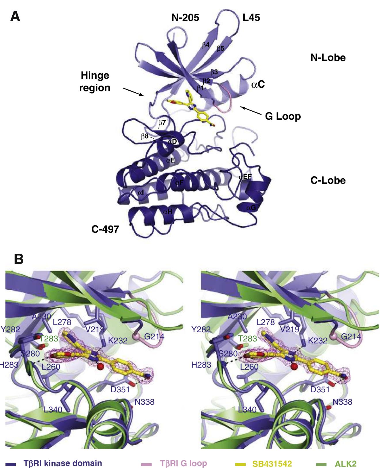 Crystal structure of t@bri-sb43154 complex. (a) structure of