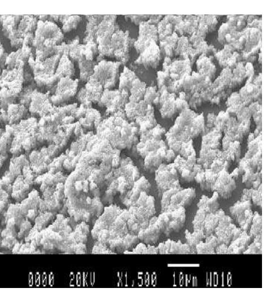 (PDF) CO response of a nanostructured SnO2 gas sensor doped with ...
