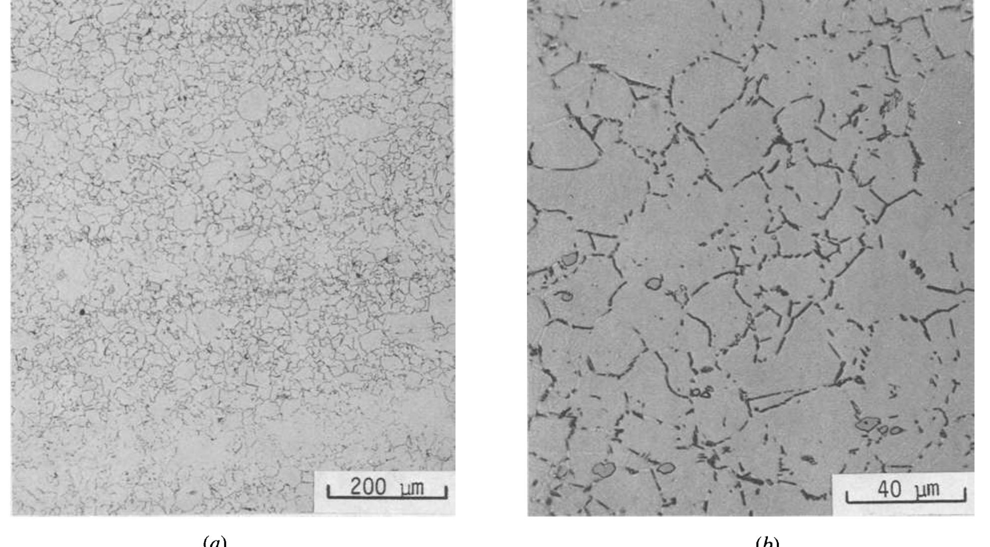 —optical micrographs showing the grain structure of the