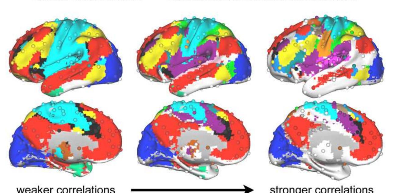 Figure 3 - from Revisiting the functional anatomy of the