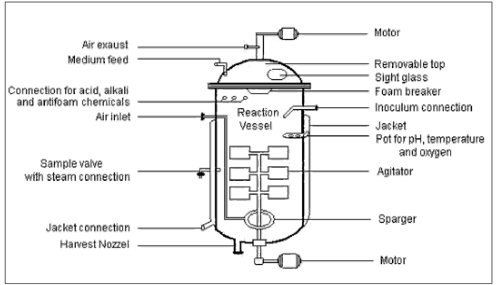 A typical bioreactor components and gases, maintaining
