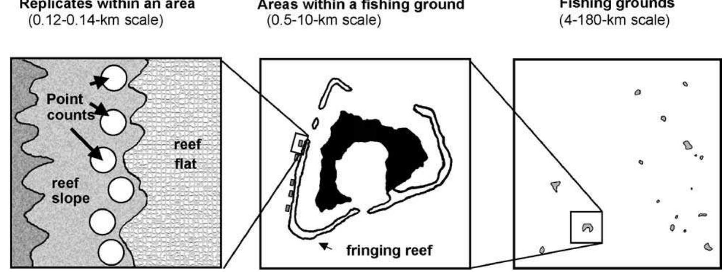 Hierarchical sampling design and the spatial scale of