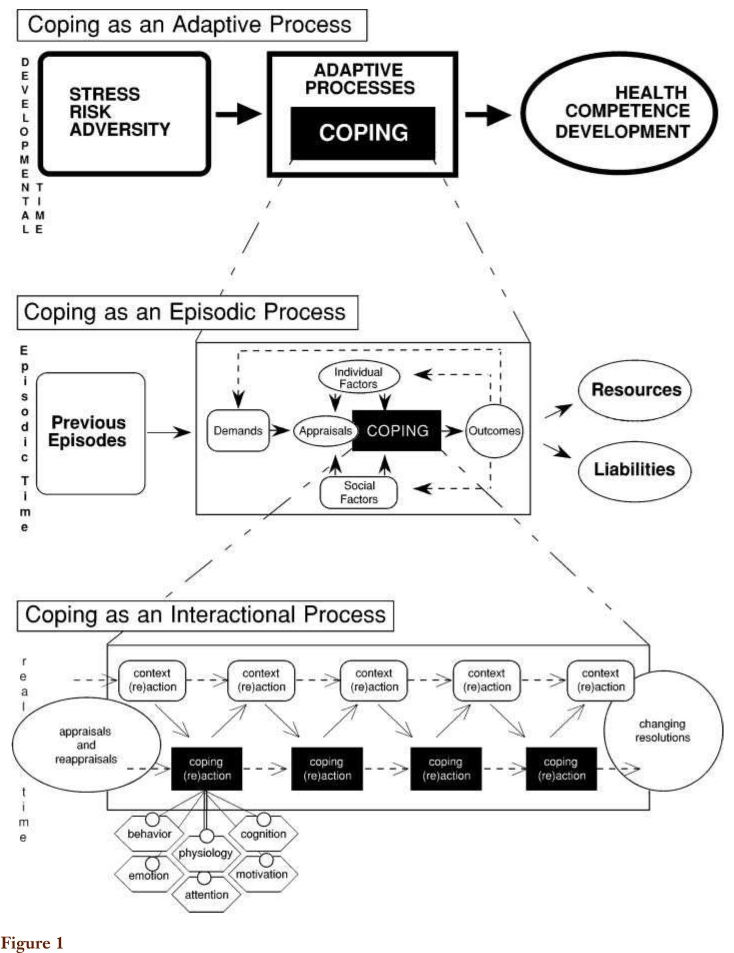 Figure 1 - from The Development of Coping