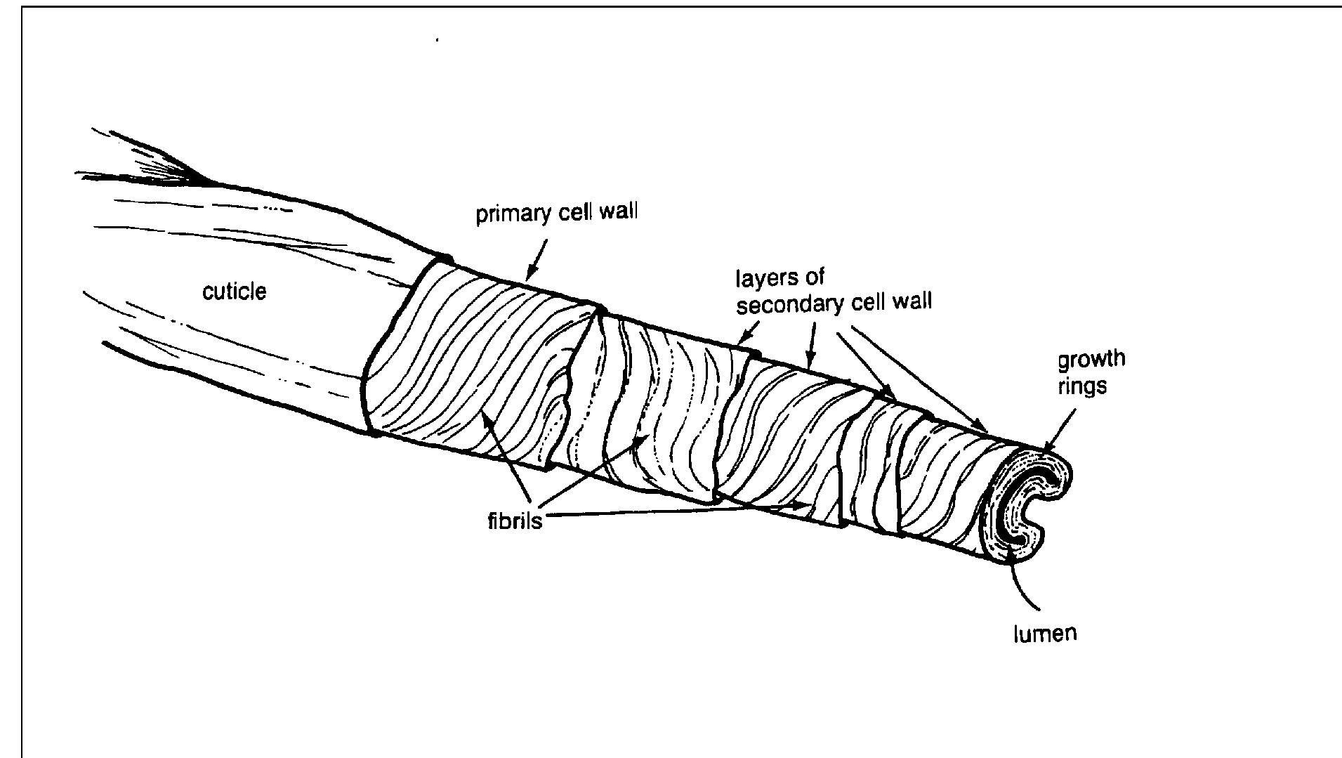 Undermining Structure To avoid slits, which are undermining the structure of a