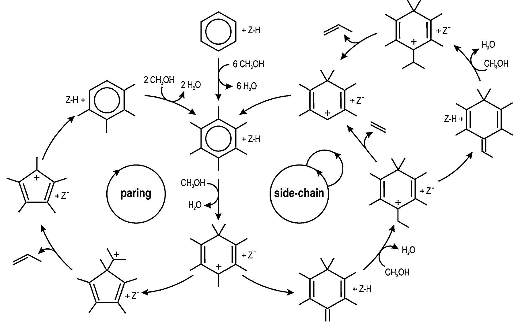 representation-of-the-paring-and-side-chain-reaction