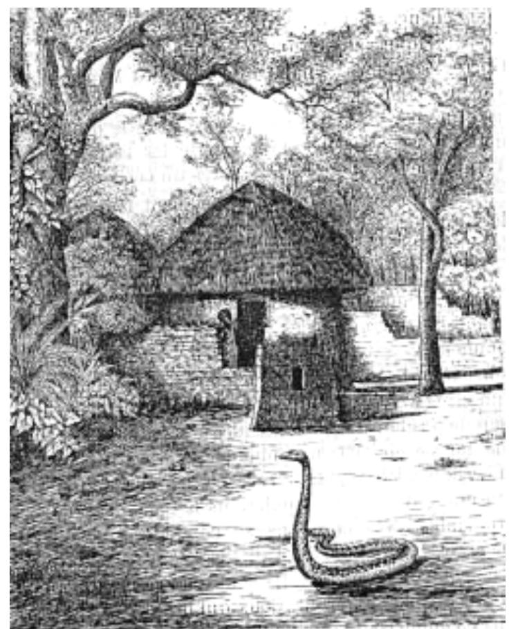 Figure 3 (Echo des Missions Africaines, Bulletin n°4, 1902, p. 101): Temple of Snakes at Ouidah. 