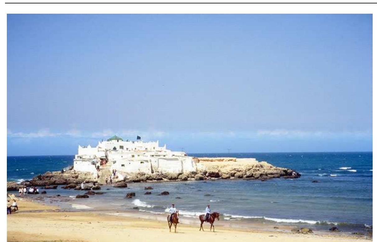 gure 1: The Island of Sidi “Abderrahman south of Casablanca, at the beach of Ain Diab. The status of the Island is secured by public authorities. (Picture by A. Escher) 